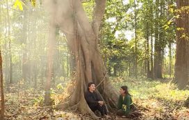 Chuyện xưa tích cũ