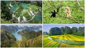 Những vườn quốc gia đẹp nhất Việt Nam đốn tim khách du lịch hè 2018 (phần 2)