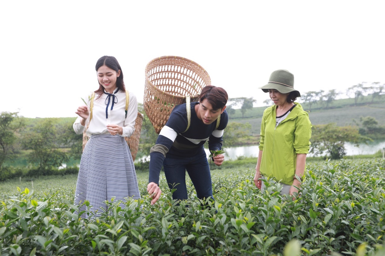 Lần đầu tiên thử đeo gùi thu hoạch trà của Thuận Nguyễn và Thanh Tú