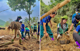 Hoa hậu Bảo Ngọc lấm lem bùn đất, hỗ trợ bà con Tuyên Quang dựng nhà sau bão lũ