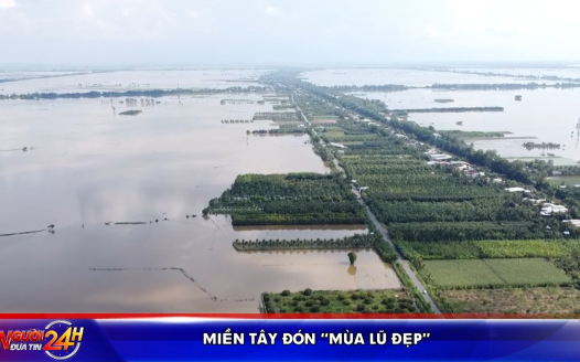 Miền Tây đón “mùa lũ đẹp”